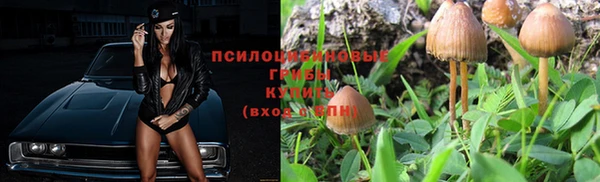 стафф Козловка