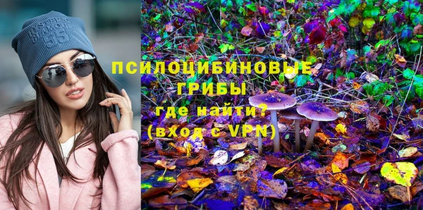 шишки Алзамай