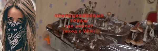 Альфа ПВП Алексеевка