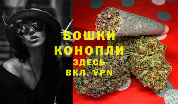 шишки Алзамай